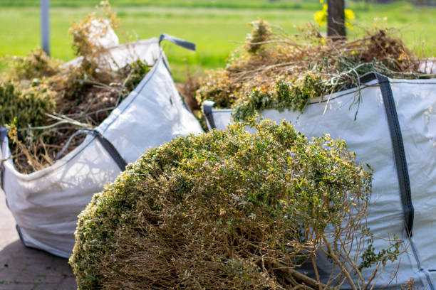 Best Garage Cleanout Services  in Elfers, FL